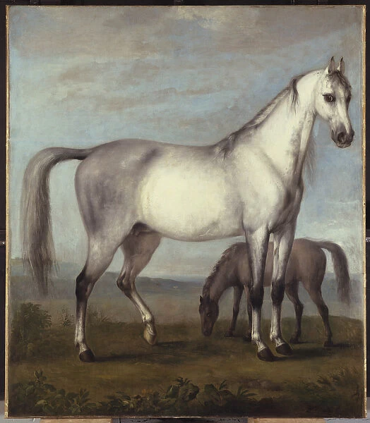 A Grey Mare and a Foal in an Extensive Hilly Landscape (oil on canvas)