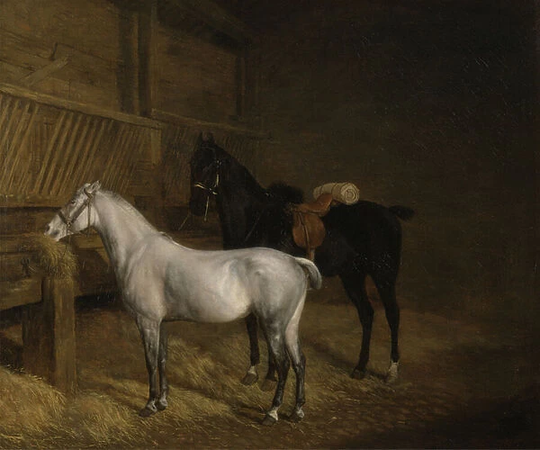 A Grey Pony and a Black Charger in a Stable (oil on canvas)