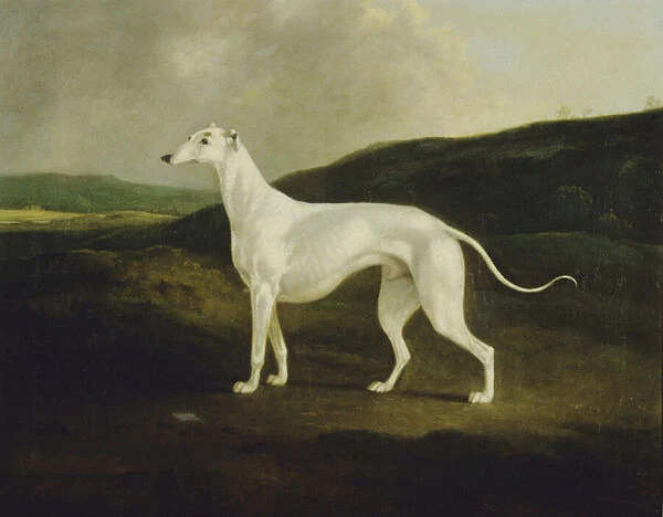 A Greyhound in a Landscape, 1817 (oil on canvas)