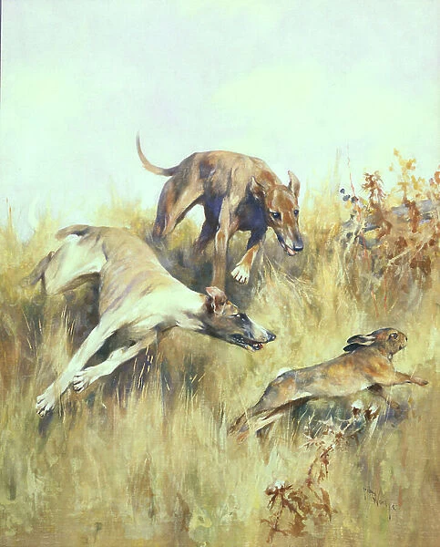 Greyhounds Giving Chase (gouache on paper)