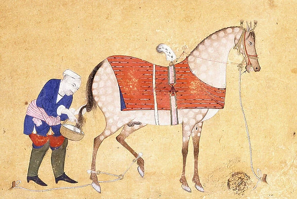 A Groom with a Horse, 1694 (gouache and gold paint on paper)