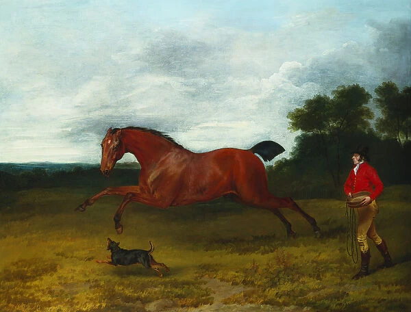 A groom with a terrier bringing in a high spirited stallion (oil on canvas)