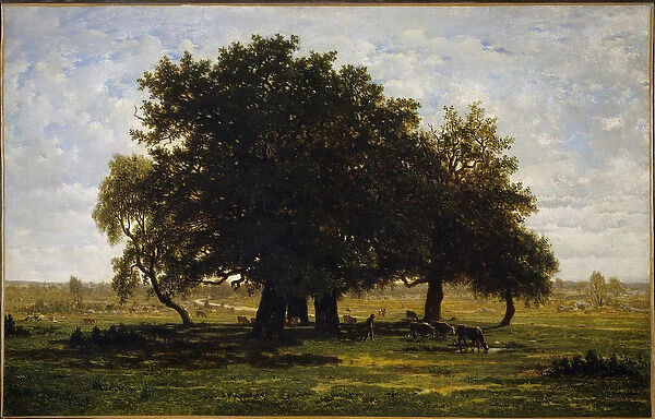 Group of Chenes, Apremont. Painting by Theodore Rousseau (1812-1867), 19th century
