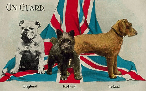 On guard: dogs representing England, Scotland and Ireland (colour litho)