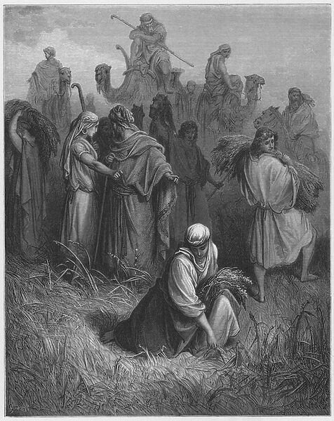 Gustave Dore Bible: Boaz and Ruth (engraving)