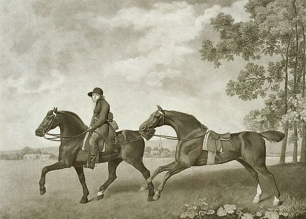 Two Hacks, engraved by George Townley Stubbs (bap. 1748-c. 1815) (litho)