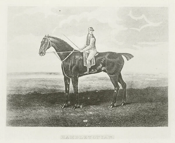 Hambletonian, foaled 1792 (b  /  w photo)