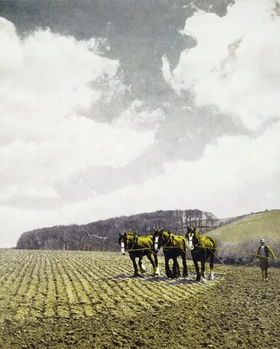 Framed Print : A harrow being used to implement for breaking up and smoothing out the surface of the soil Framed Print : A harrow being used to implement for breaking up and smoothing out the surface of the soil
