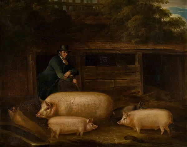 Harry Green, Pigman, with his Pigs in a Sty, c. 1794-1843 (oil on canvas)