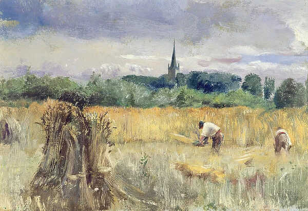 Harvest Field, Stratford-upon-Avon (oil on canvas)