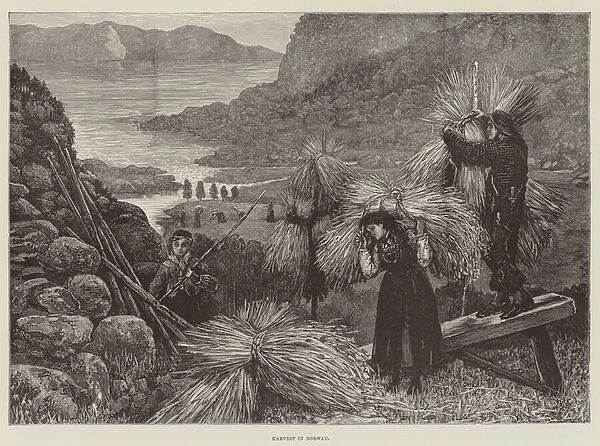 Harvest in Norway (engraving)