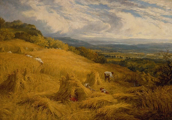 The Harvest (oil on canvas)