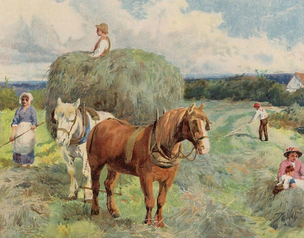 Harvest scene with horses pulling a haywain (colour litho)