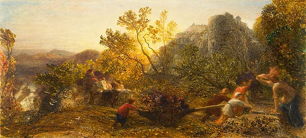 Harvest in the Vineyard, 1859 (w  /  c, gouache and gum arabic on paper)