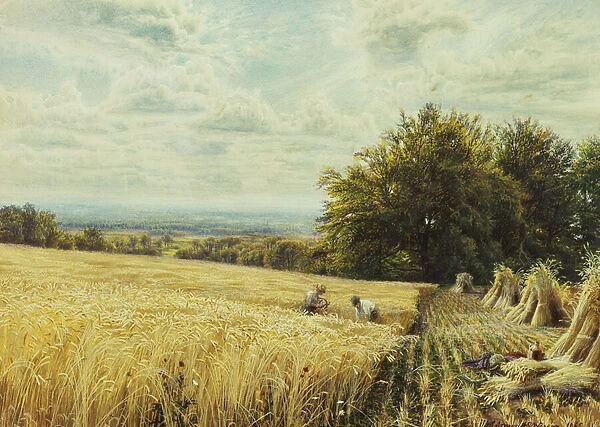 The Harvesters, 1865 (bodycolour)