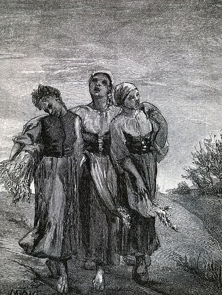 The Harvesters
