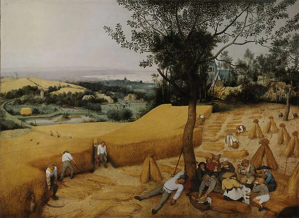 The Harvesters (August  /  September), 1565 (oil on panel)