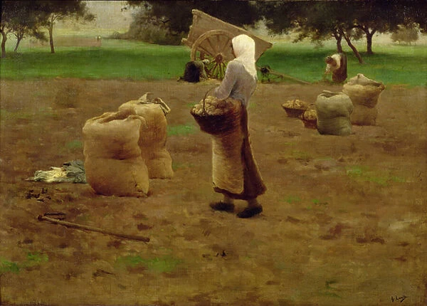 Harvesting Potatoes (oil on canvas)