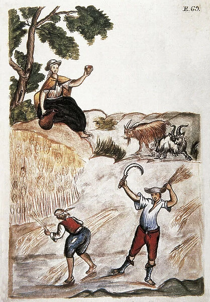 Harvests, Indians of Peru working in the fields. Watercolor of the 18th century Madrid