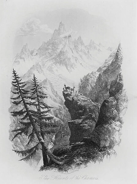 The Haunts of the Chamois (engraving)