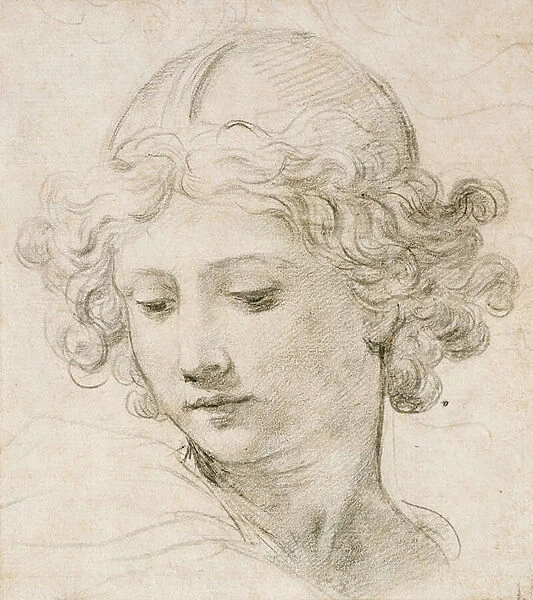 Head of an angel, looking down to the left (black chalk on paper)