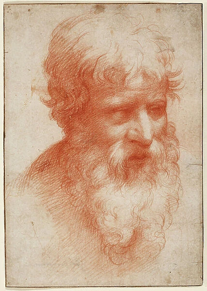 Head of a Bearded Man, looking right, c.1523-25 (red chalk on paper)