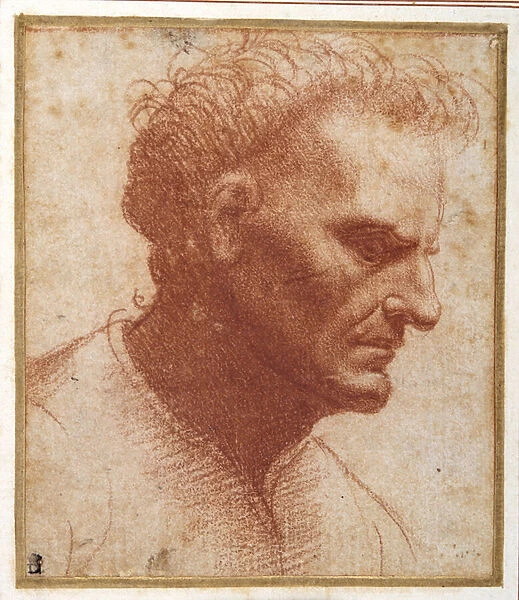 Head of a beardless man looking downward (red chalk on paper)