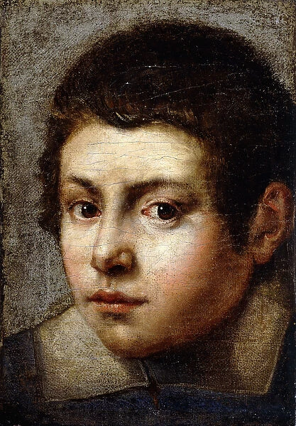 Head of a Boy (oil on canvas)
