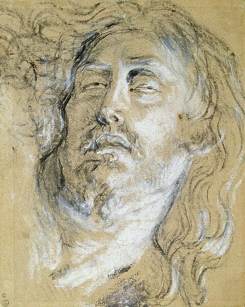 Head of the dead Christ (charcoal & chalk on paper)