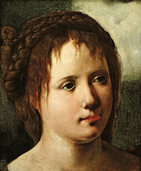 Head of a Girl, 1530  /  35 (oil on panel)
