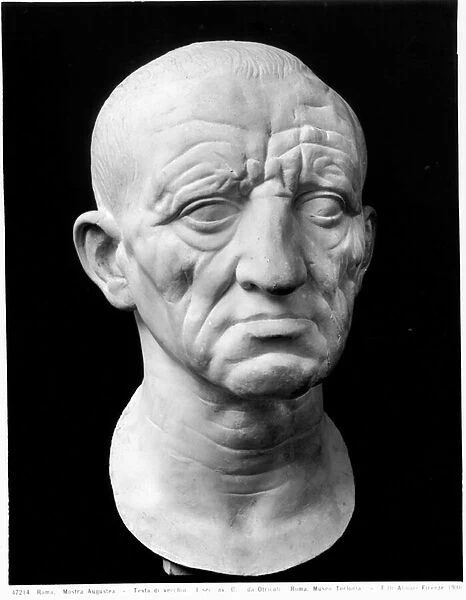 Head of an Old Man (marble) (b  /  w photo)