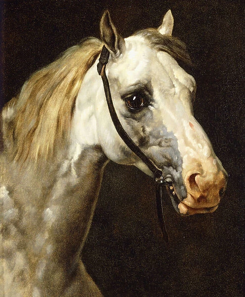 Head of a Piebald Horse, (oil on canvas)