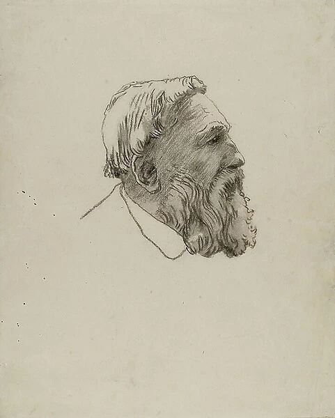 Head of Rodin (charcoal on paper)