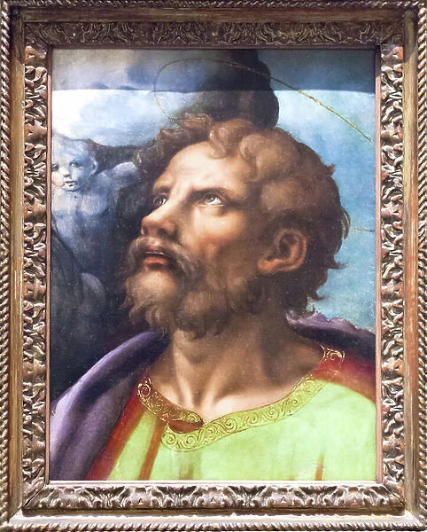 Head of a Saint (oil on panel)