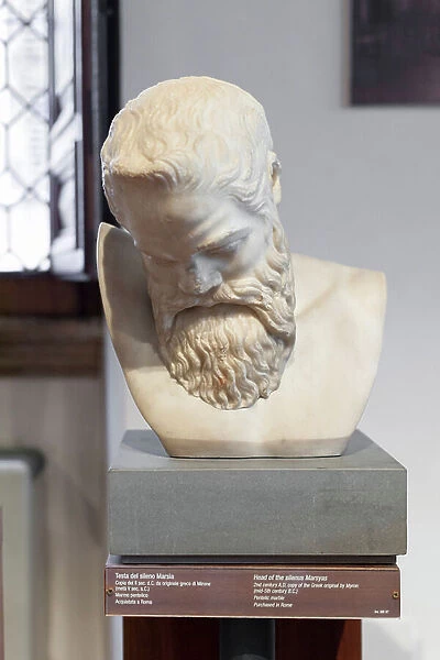 Head of the silenus Marsyas (pentelic marble)