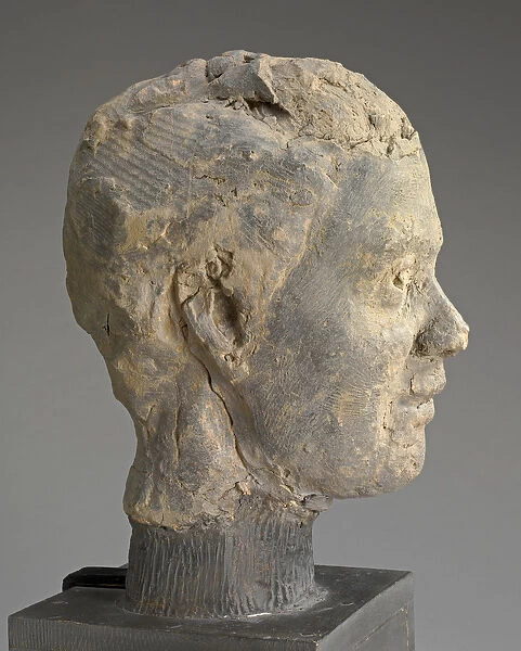 Head, Study for a Portrait of Mme Salle, c. 1892 (clay, metal armature, on wooden base)