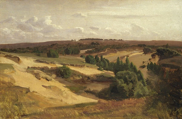 The heath near Bispingen, 1887 (oil on paper on canvas)