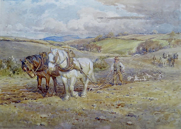 Heavy Horses ploughing on the Downs, 1905 ( Watercolour)