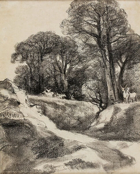 In Helmingham Park, Suffolk, 1800 (charcoal on paper)