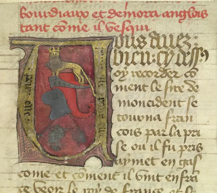 Framed Print : Heraldic initial