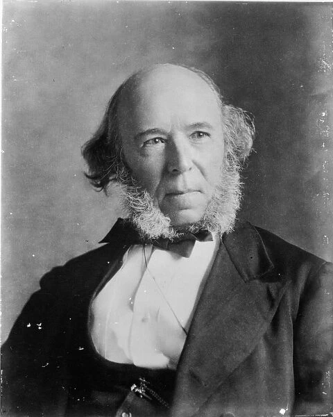 Herbert Spencer (1820-1903) (b  /  w photo)