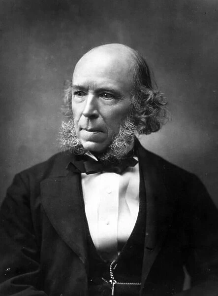 Herbert Spencer, 1888 (b  /  w photo)