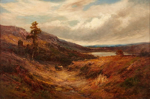 Highland Cattle on a Mountain Path (oil on canvas)