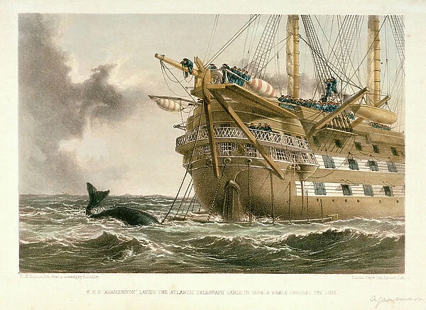 HMS Agamemnon laying the Atlantic telegraph cable in 1858: a whale crosses the line, 19th century (coloured lithograph)