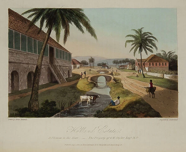 Holland Estate, 1825 (engraving)