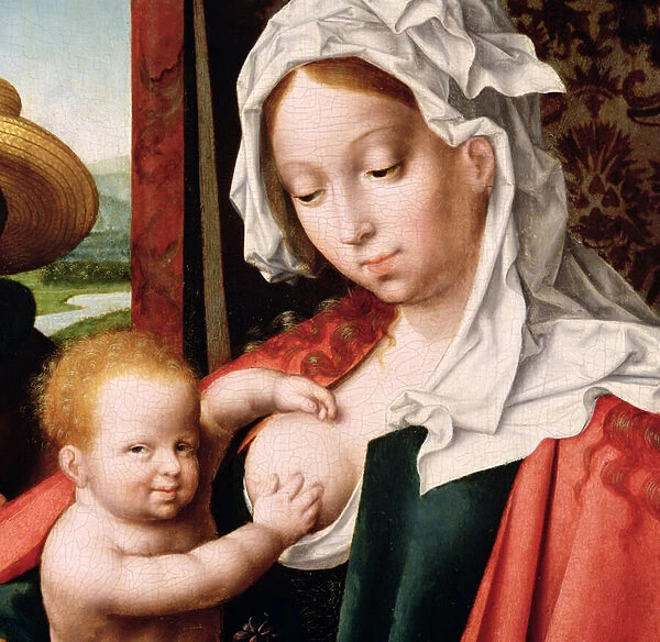 The Holy Family, c. 1520 (oil on panel) (detail of 204176)