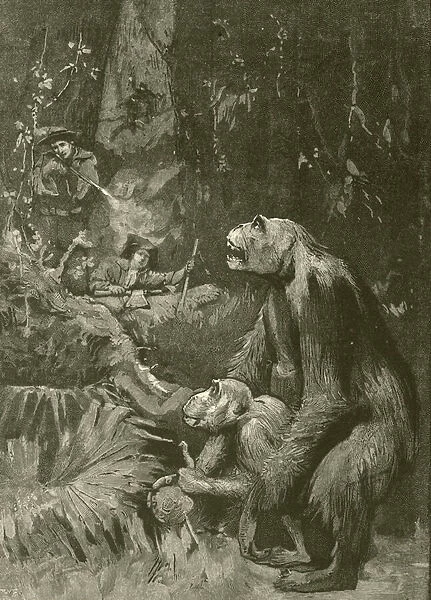 Home of the gorilla (engraving)