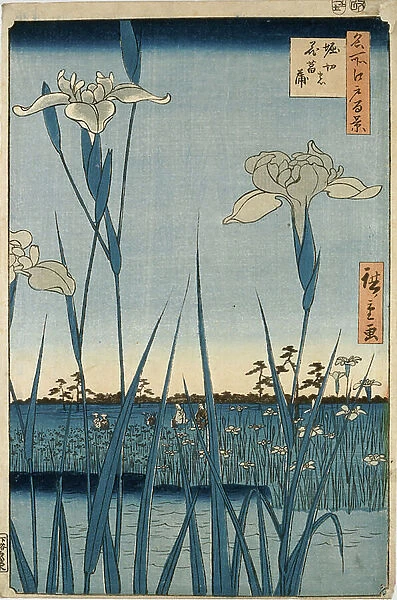 Horikiri Iris Garden, 1857 (woodblock print, with bokashi)
