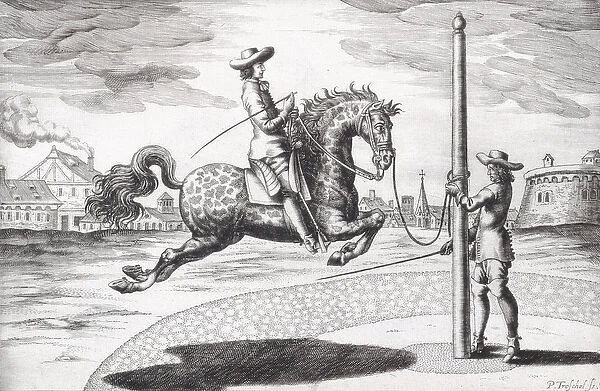 A Horse en Capriole from New Treatise for Breeding Horses