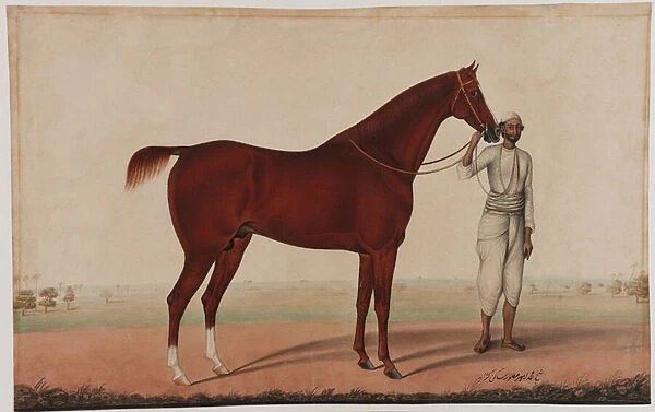 A horse and groom, c. 1840 (opaque w  /  c, pen & ink on paper)